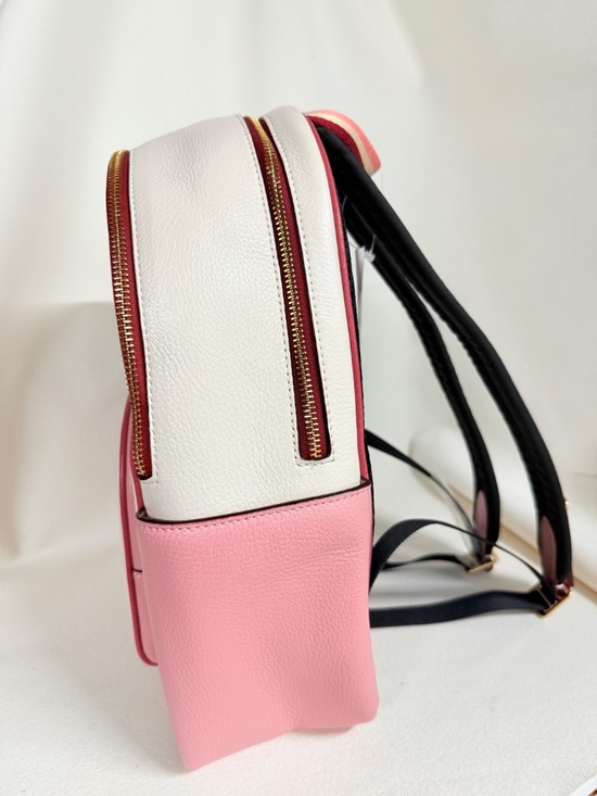 Coach Court Backpack With Stripe Heart Motif CA246 main image 7